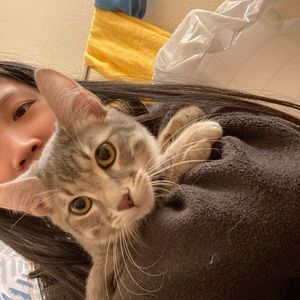 Meet your Posher, Jackie